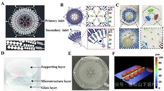 Wide Dynamic Range Multiplex Digital CRISPR Chip for Absolute Quantification of Nucleic Acids