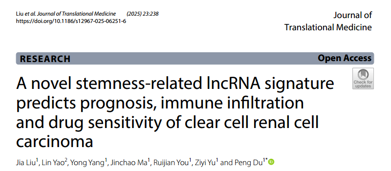 A Novel Stemness-Related lncRNA Signature Predicts Prognosis, Immune Infiltration, and Drug Sensitivity in Clear Cell Renal Cell Carcinoma
