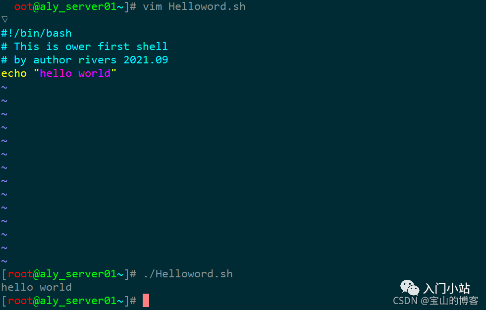 A Comprehensive Guide to Shell Scripting from Basics to Practical Applications