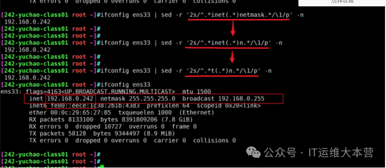 Essential Linux Commands: The Three Musketeers - sed