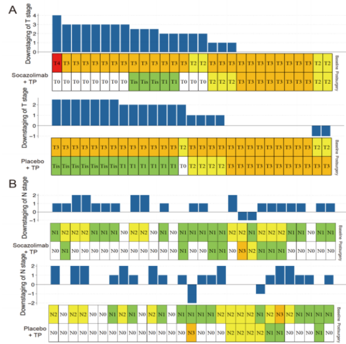 Efficacy of the Novel PD-L1 Inhibitor Socazolimab in Neoadjuvant Treatment Combined with Chemotherapy for Locally Advanced ESCC Requires Phase III Trial Validation
