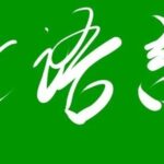 C Language Swap Algorithm Using Temporary Variables