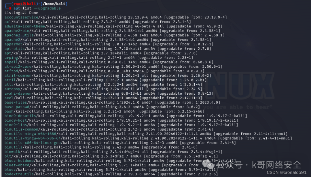 Linux System Administration: Installing Kali Linux on a Virtual Machine