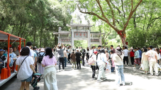 Robots Debut at Gulongzhong, Opening a New Experience in Technology and Cultural Tourism