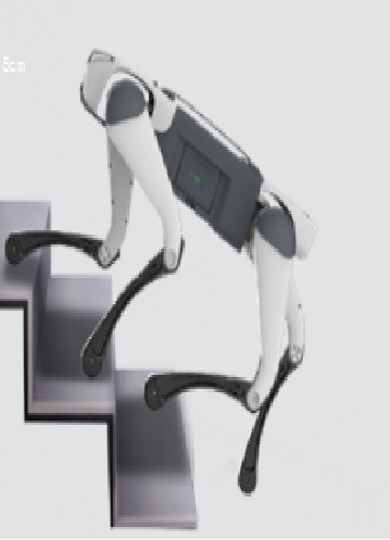 Robots: New Advances in Walking Large Models