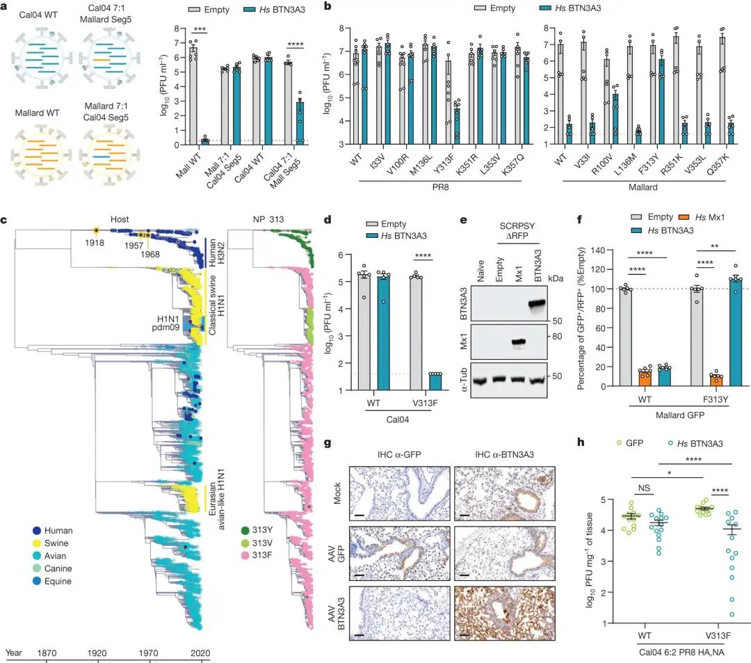 How to Use MATLAB to Retrieve All Illustrations from Nature (Including Images from 2023-2025)