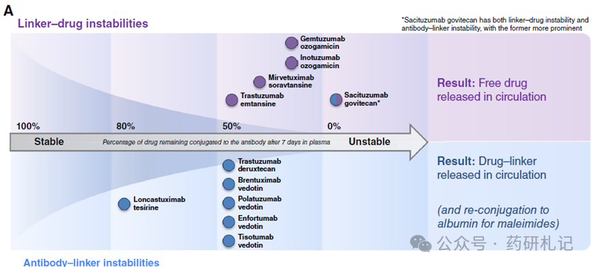 The Development History of ADC Over 40 Years (Part 2)