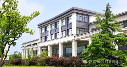 Mingxin Xuteng: Can the Leader in Automotive Interiors Achieve a Comeback in the Flexible Sensor Arena?