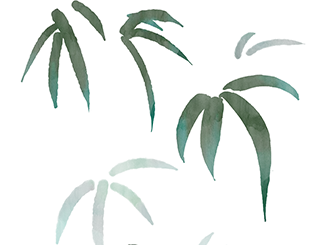 Recent Advances: Nature | Human Accelerated Regions Regulate the Potential of Human and Chimpanzee Neural Stem Cells