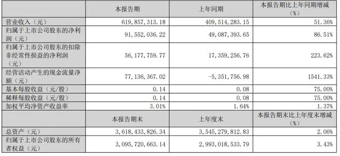 Summary of Q1 2025 Financial Reports from 20 Display Chip Companies Including Weir Shares, Allwinner Technology, and Rockchip
