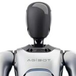 Current Development Status of Humanoid Robots