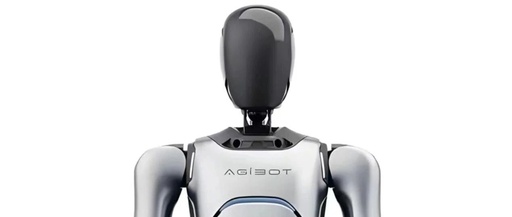 Current Development Status of Humanoid Robots