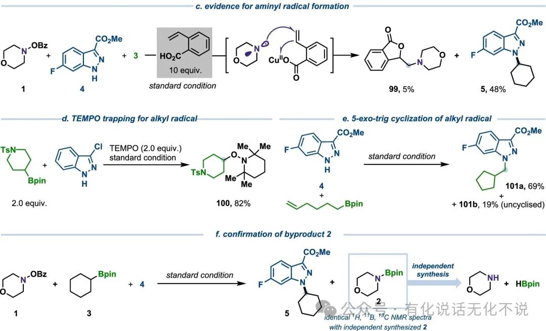 Goodbye Morpholine Radical