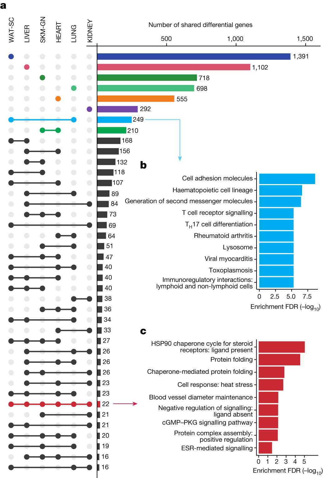 How to Use MATLAB to Retrieve All Illustrations from Nature (Including Images from 2023-2025)
