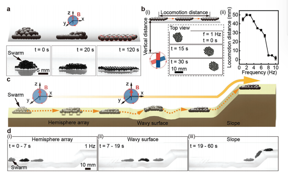 Scientists Use Smart Materials in Micro-Robotic Swarms to Provide New Treatment Options for Gastrointestinal Diseases