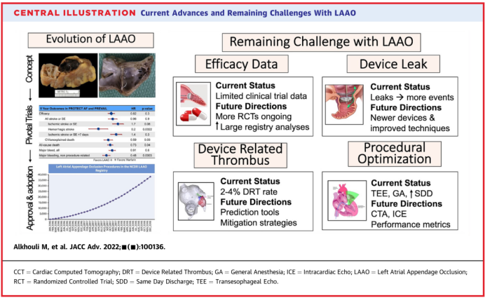 Comprehensive Review: Left Atrial Appendage Occlusion - Progress and Challenges