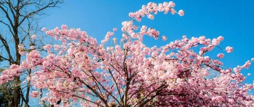 Cloud Native | 100 Virtualization Basics Q&A (Part 1), Recommended for Collection!