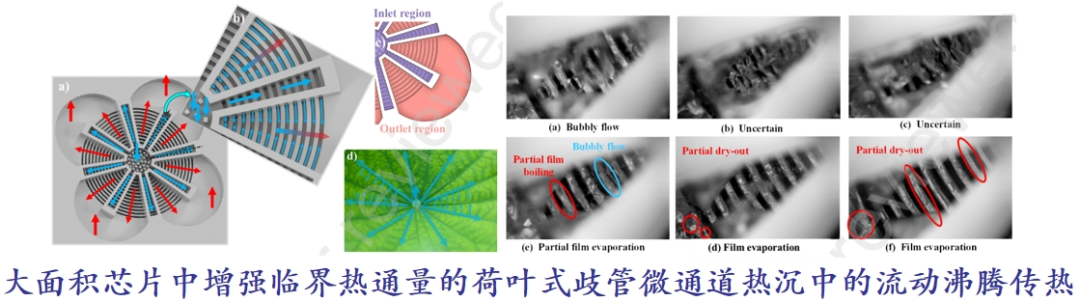 Southeast University | Interleaved Leaf Vein Shaped Embedded Microchannel Heat Exchanger