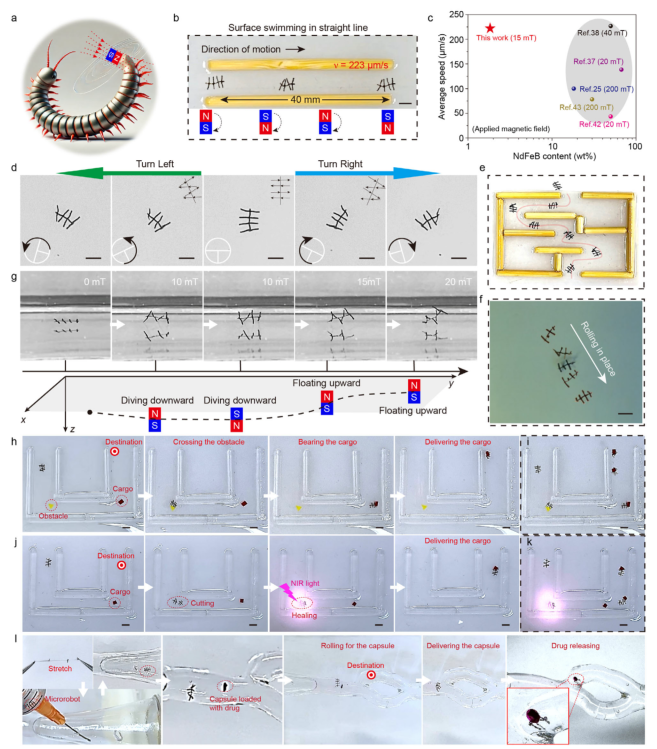 Professor Yu Shuhong, Professor Cong Huaiping, and Others in Adv. Mater.: Soft Microrobots Driven by Low Magnetic Fields
