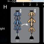 Revolutionary Insights! The Amazing 3D Printed Structure That Shortens When Stretched