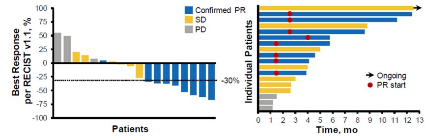 ADC Drug Advances in Non-Small Cell Lung Cancer