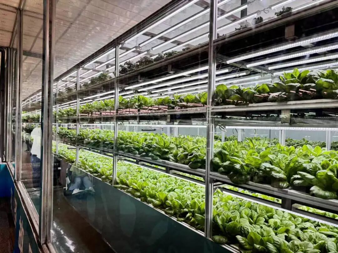 Robots as 'Farmers'! This Future Farm is Truly Impressive