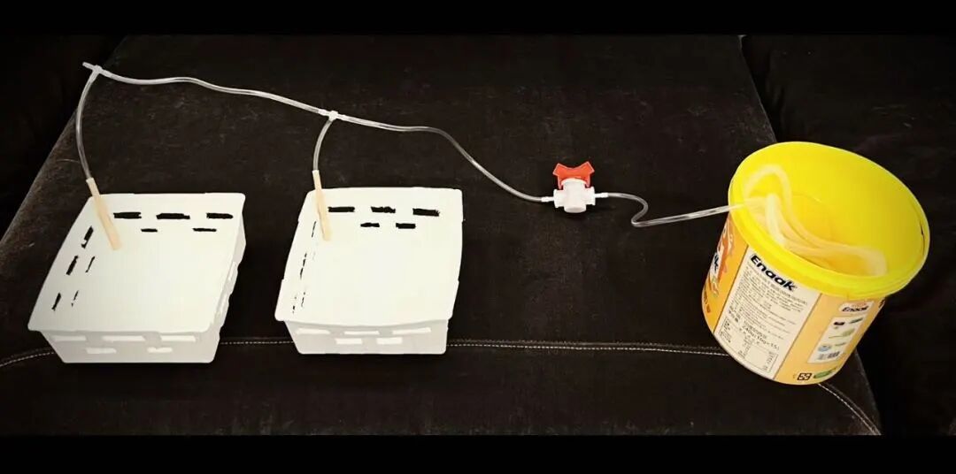 Innovative Green Solutions from Students: Clean Energy Clothing and Water-Saving Cultivation Systems