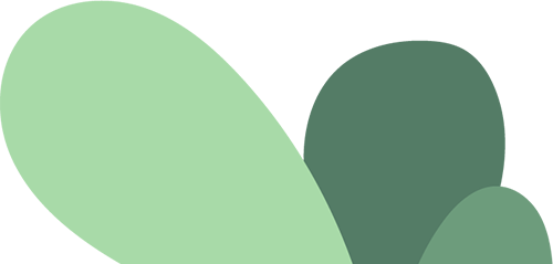 Embarking on a Micro:bit Journey to Ignite Youth Programming Dreams