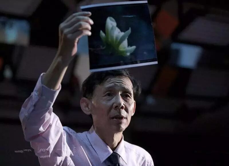 Photography | Yang Xiaoli and His Students: Photography is a Lifelong Passion