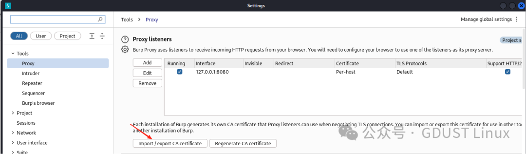 Linux Lesson 5: Web Security Vulnerabilities