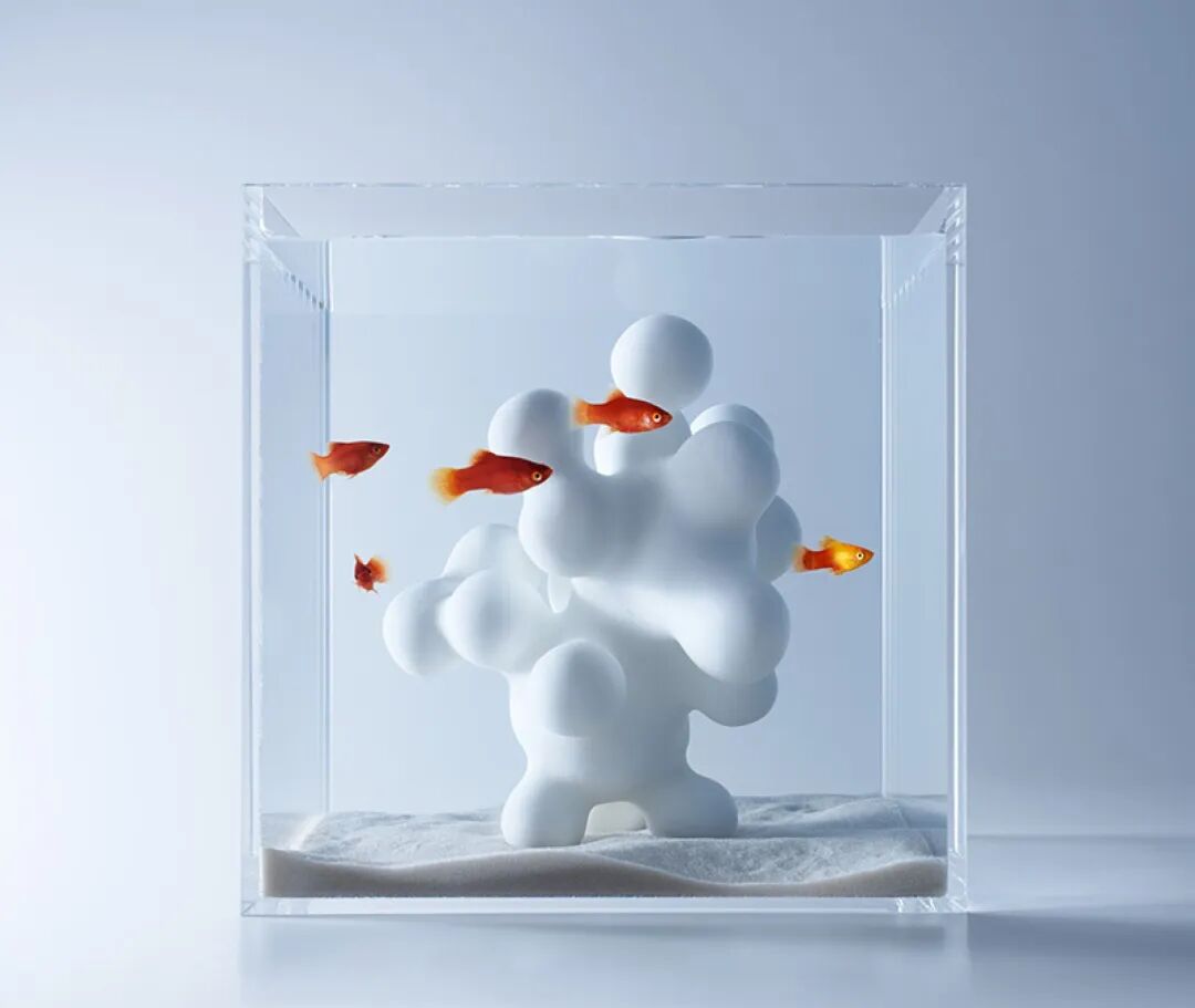 Applications of 3D Printing in Aquariums