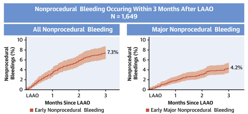 Exploring the Increased Risk of Early Non-Surgical Bleeding Related to DAPT and LAAO Postoperative Procedures