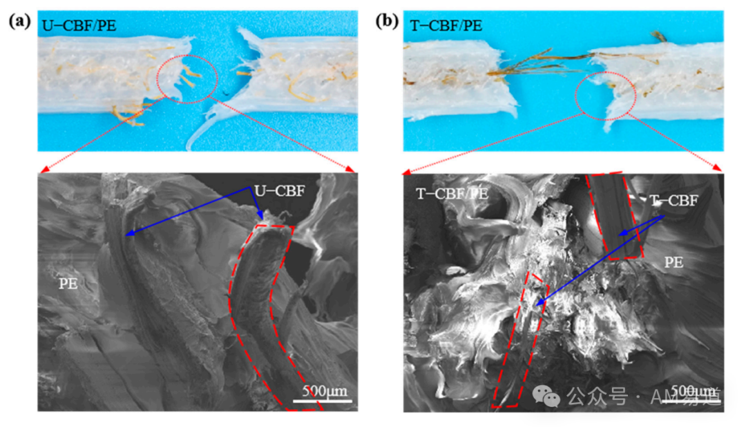 3D Printing Preparation and Performance of Bamboo Fiber Composites