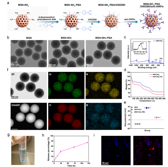 3D Printed Scaffolds Aid in Bone Defect Repair: A Study from Shanghai Jiao Tong University in Biomaterials