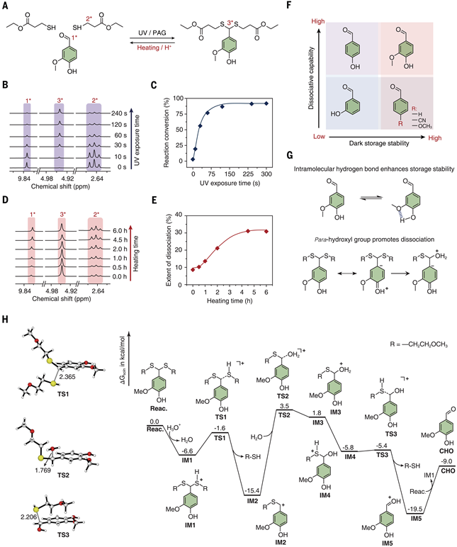 Circular 3D Printing of High-Performance Photopolymers through Dissociative Network Design