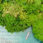 List of PMIC Chip Companies