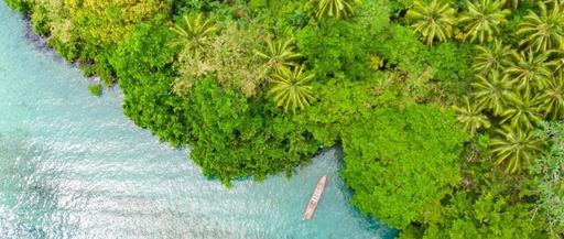 List of PMIC Chip Companies