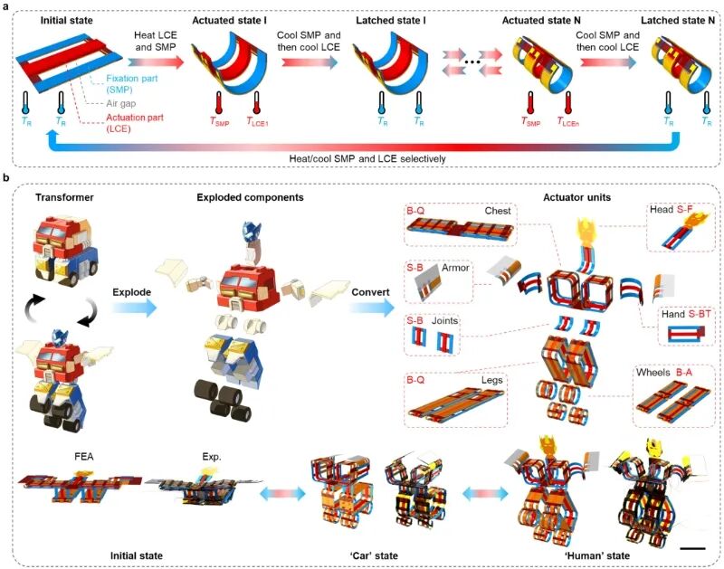 The Birth of the World's Smallest Wireless Amphibious Robot Weighing 25 Grams