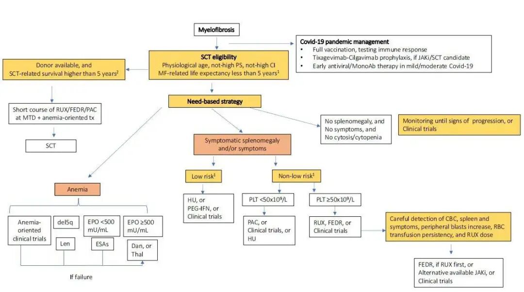 Overview of Myelofibrosis Treatment and Research