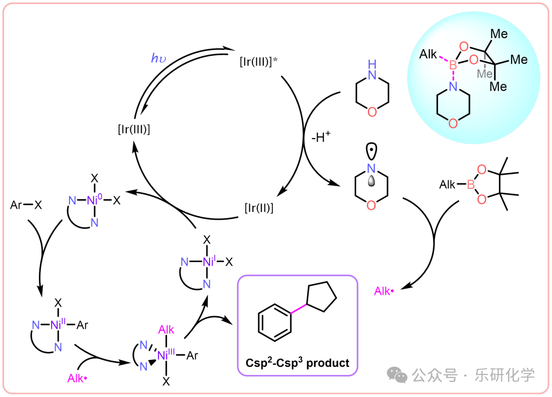 The Perfect Flawless Quasi-Suzuki Coupling Mechanism