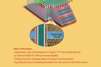 Researcher Zhu Huilong from the Microelectronics Institute Develops a High-Performance Single-Crystal Silicon Channel 3D NOR Flash Memory