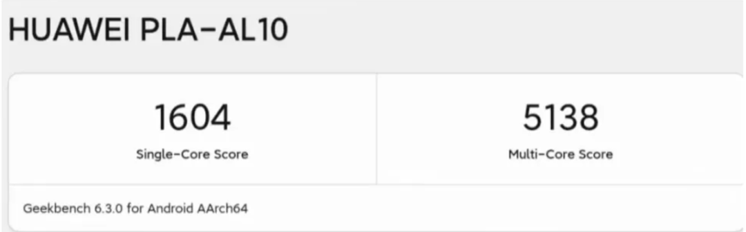 The Performance of Giant Baby ARM CPUs Lags Behind Mobile Chips
