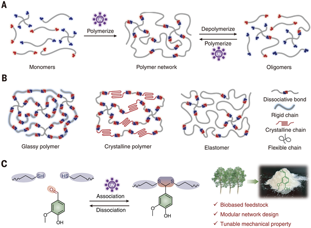 Circular 3D Printing of High-Performance Photopolymers through Dissociative Network Design