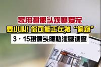 Preventing Smart Home Surveillance: Essential Precautionary Measures