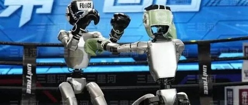 Chinese Robots: 'Southern Fist, Northern Kicks'