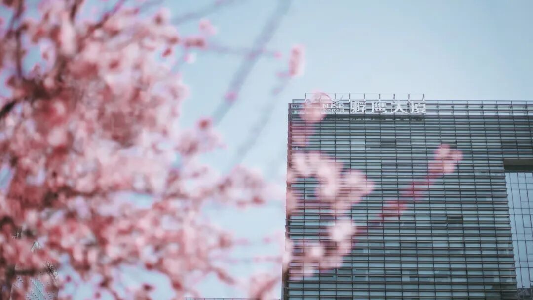 Our Generation Z is Creating Photonic Chips