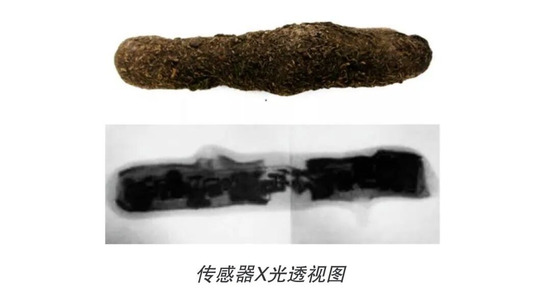 The 'Perception Revolution' Born from War: The Emergence and Evolution of the Internet of Things