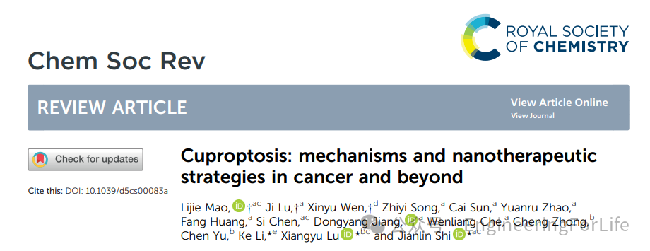 New Strategies for Cancer Treatment Using Copper Ions: Insights from Cuproptosis