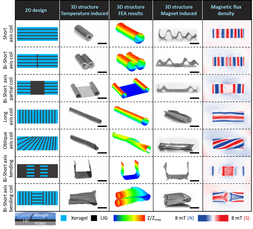 A New Paradigm for Programming Magnetic-Controlled Microrobots: A Joint Achievement by Xi'an Jiaotong University, City University of Hong Kong, and the Max Planck Institute Published in PNAS!