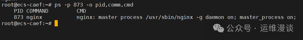 How to Find Process Name Using PID in Linux?